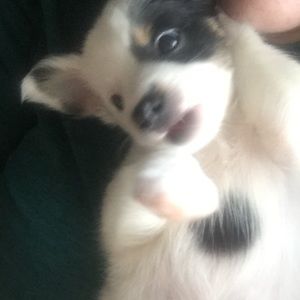 Meet your Posher, Bethany